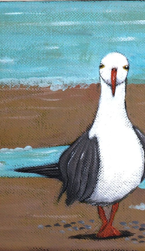 Seagull by Mariann Johansen-Ellis