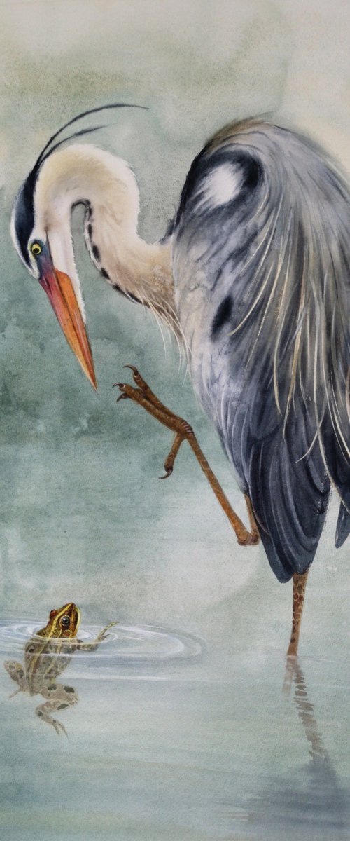 Great Blue Heron & Frog by Olga Beliaeva Watercolour