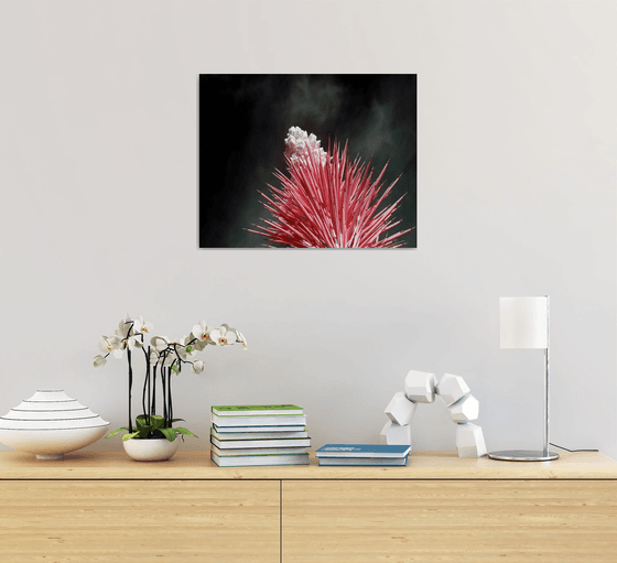 Nothing Here is Meant to Last