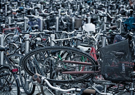 Danish Bicycle Chaos