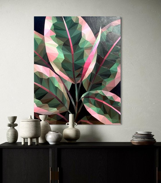 FICUS LEAVES