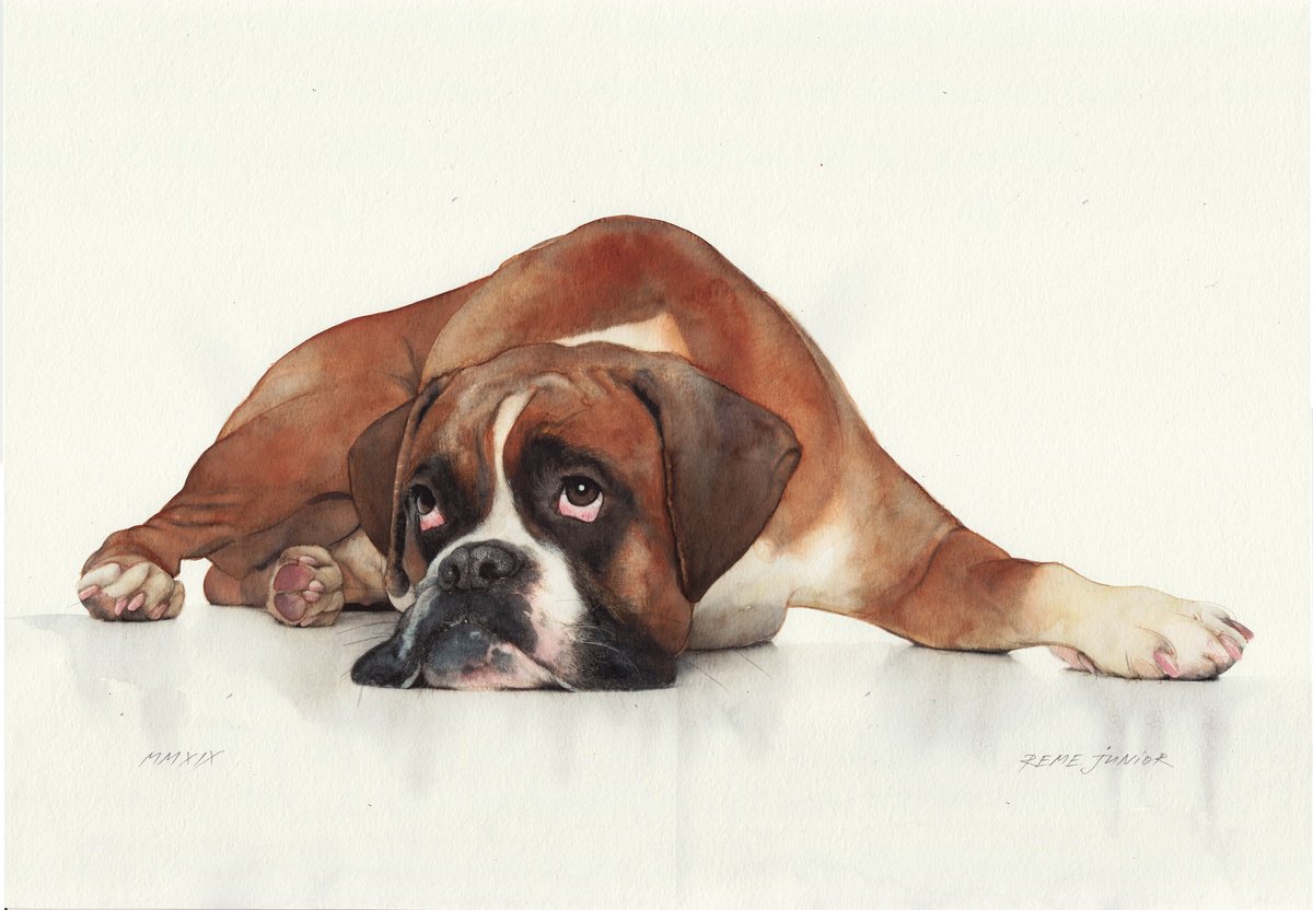 Photorealistic Animal Watercolour By Reme Jr., 22 X 16", Dog Boxer, Original Artwork