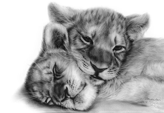 Commissioned Artwork Lion Cubs