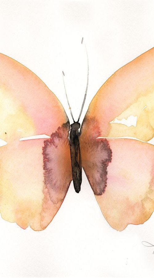 Watercolor Butterfly 8 - Abstract Butterfly Watercolor Painting by Kathy Morton Stanion