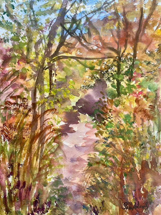 Villas Vale, Somerset