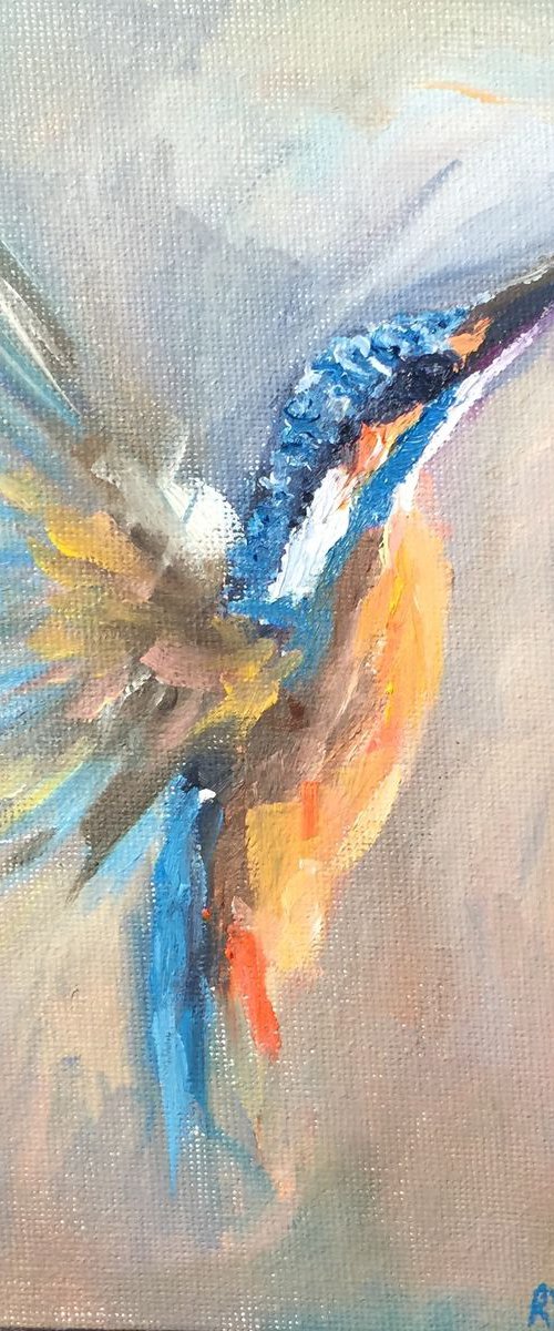 Kingfisher by Ryan  Louder