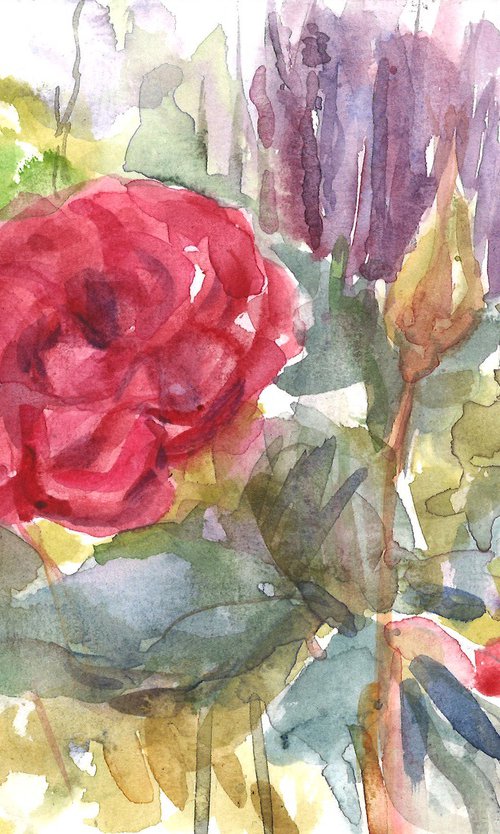 Roses in the garden by Elena Lykhodid