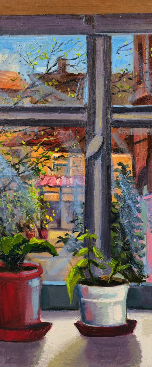 My window by Joan Mato