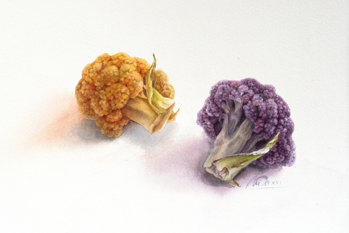 Cauliflower by Lidiya Doukhnevitch