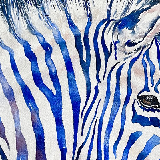 Blue Benz Zebra