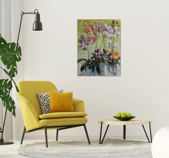 Colorful Orchids