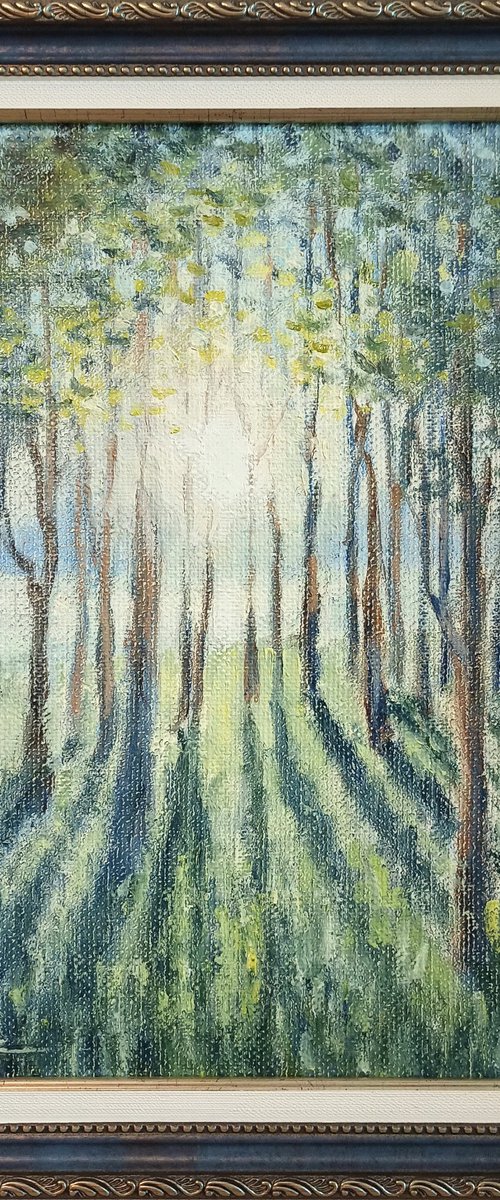Morning sun 2 by Oleh Rak