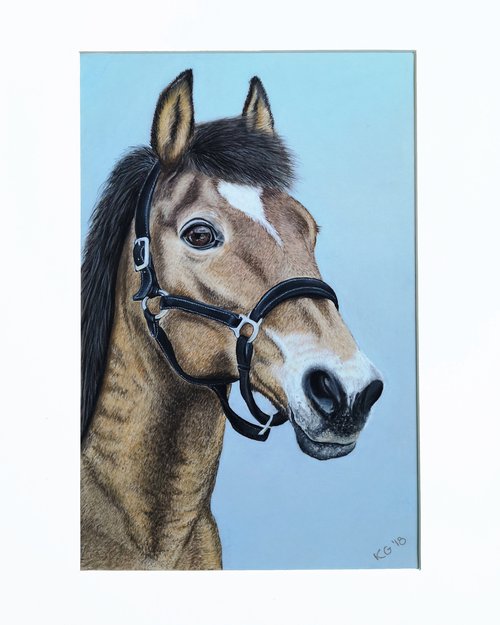 Horse Portrait by Kamila Godlewska