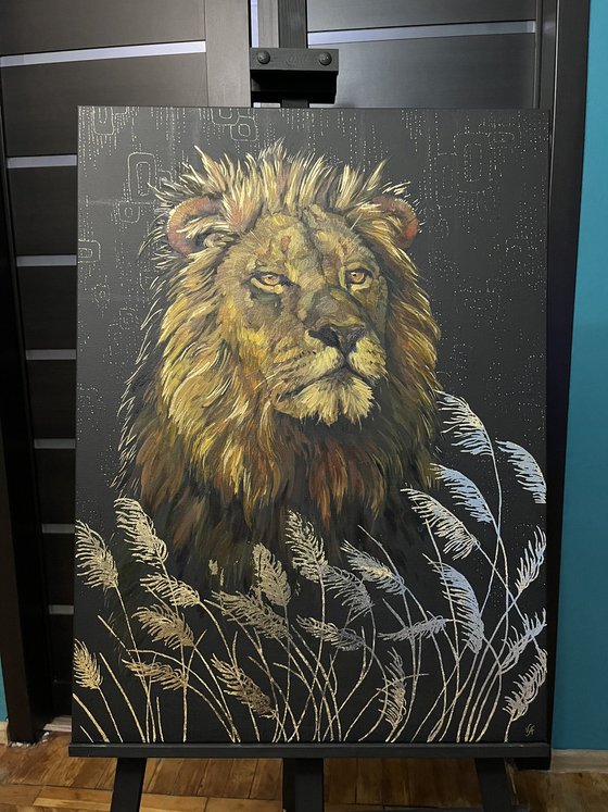 Lion in  savannah