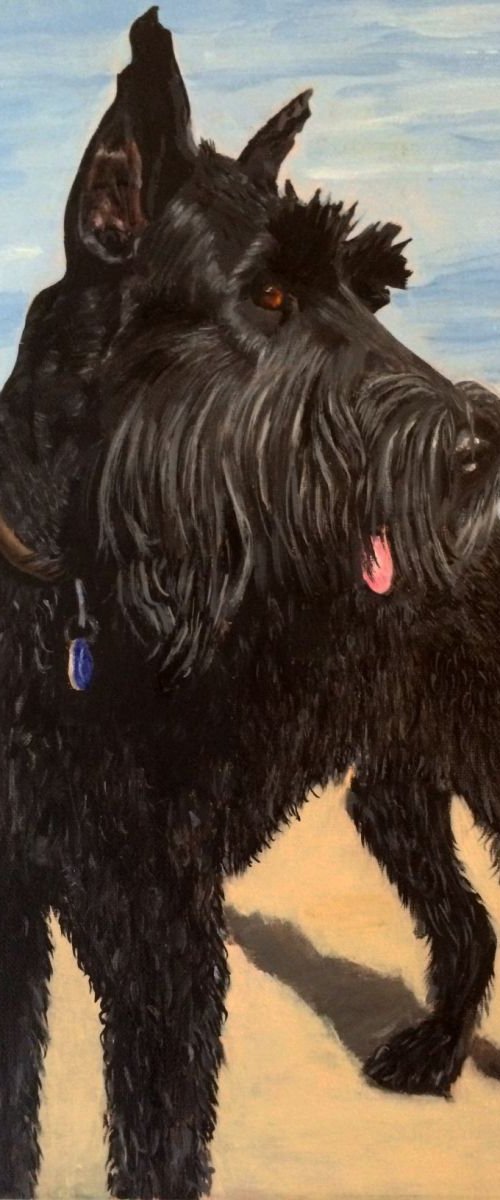 SASHA - GIANT SCHNAUZER USA (Commissioned Pet Portrait) by ELAINE ASKEW