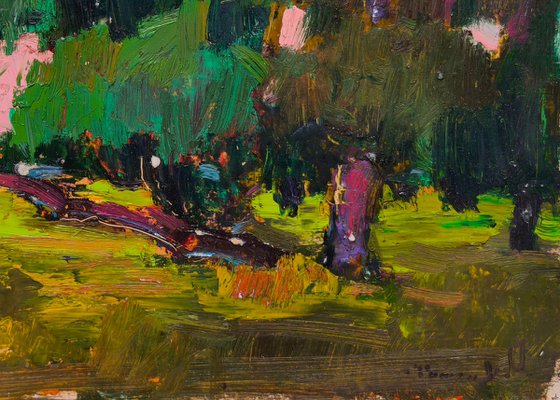 Crooked Tree