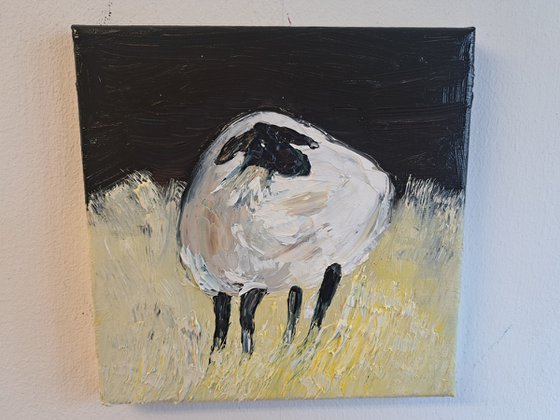 Sheep portrait