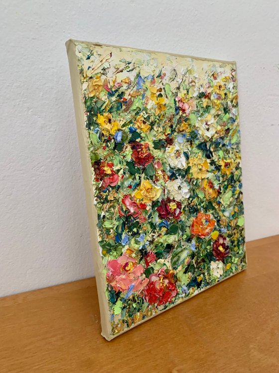 Colorful strawflowers