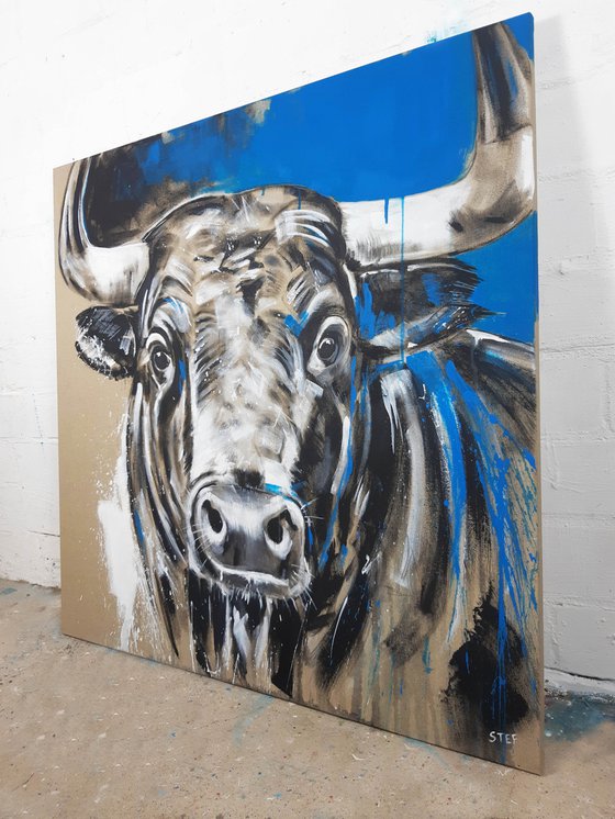 TAURUS #6 – Close up portrait of a bull