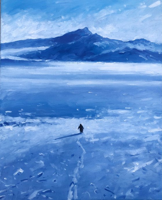 Lonely penguin, but why?