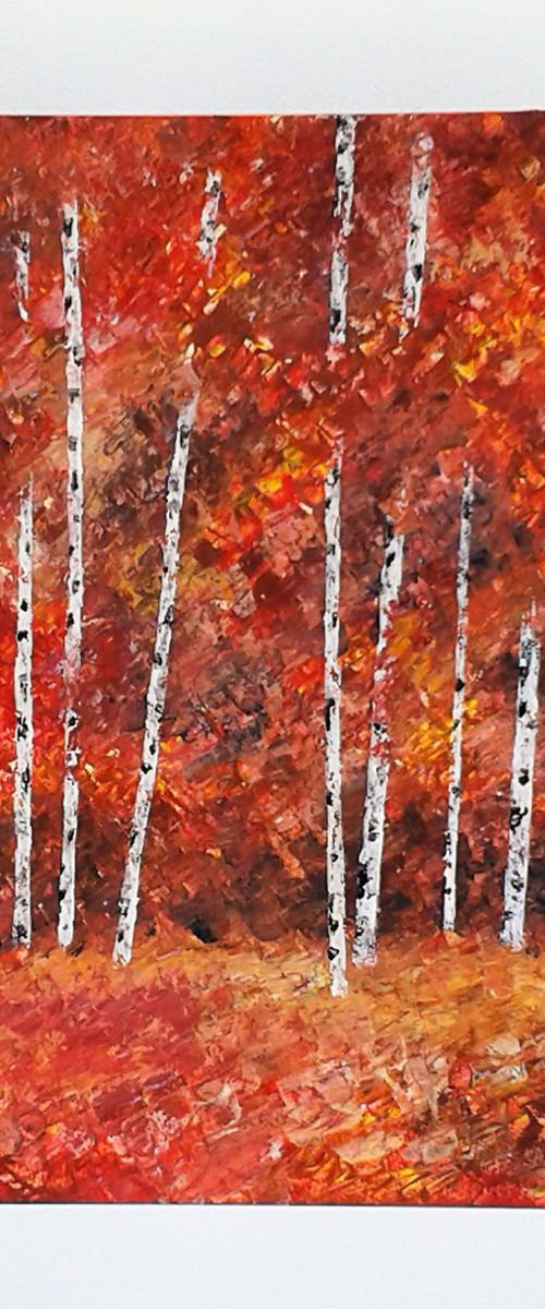Autumnal Silver Birch 3 by Jan Rippingham