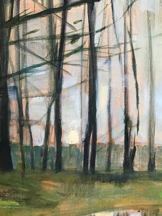 Reflections in the puddle