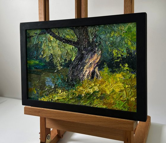 Tree near the River