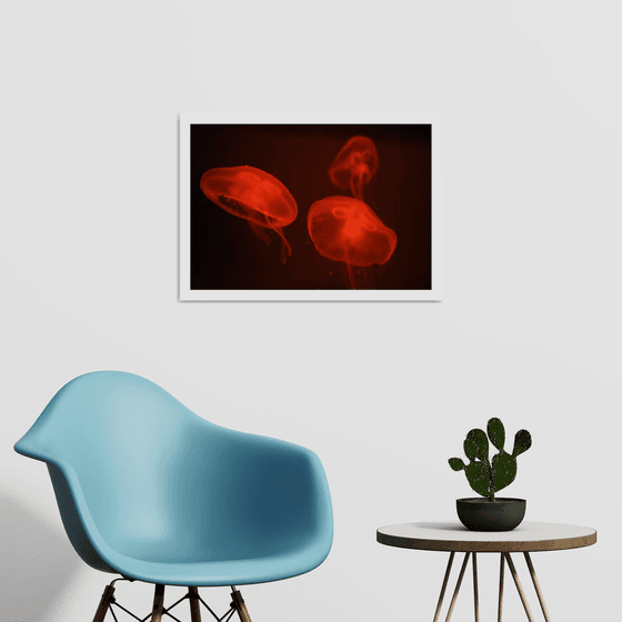 At the aquarium #4 | Limited Edition Fine Art Print 1 of 10 | 60 x 40 cm