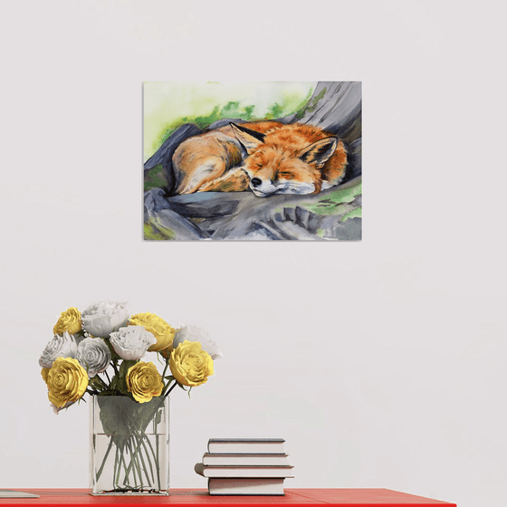 Sleeping Fox