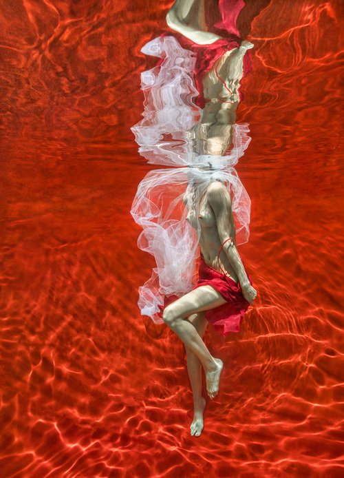 Blood and Milk III - underwater photograph - print on paper by Alex Sher