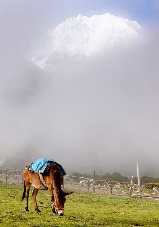 Salkantay Trek I