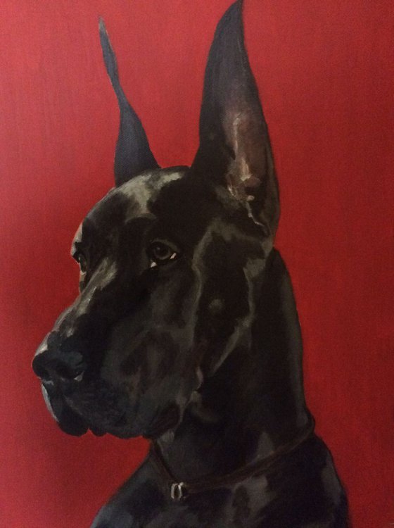 NAKOA - BLACK GREAT DANE- (Commissioned Pet Portrait)