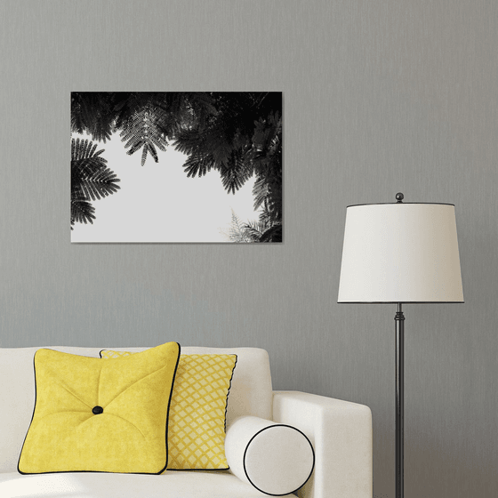 The Tree Top II | Limited Edition Fine Art Print 1 of 10 | 60 x 40 cm