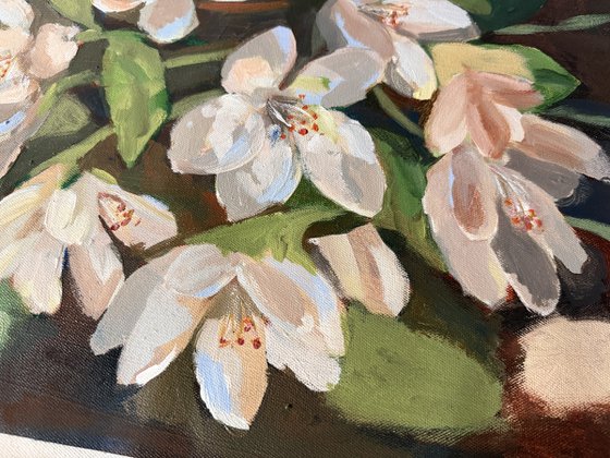 Blossoming Quietly