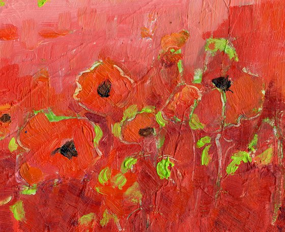 Red Poppies - Miniature