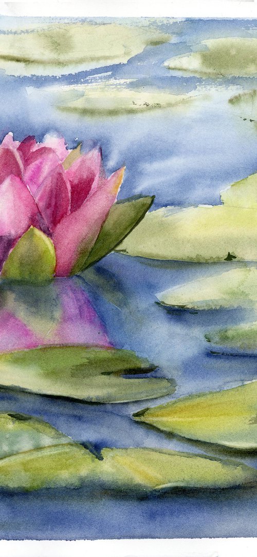Blooming Lotus flower by Olga Tchefranov (Shefranov)