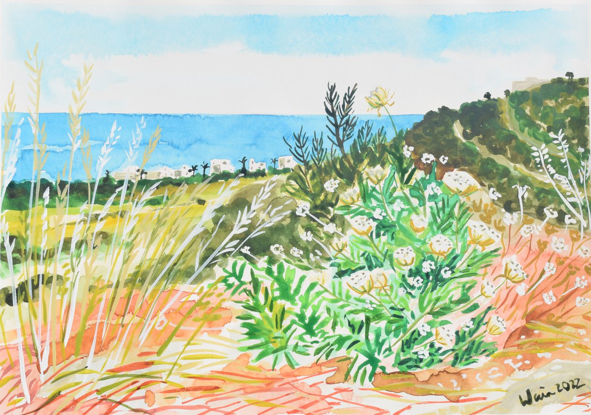 Ammi majus with view of the Mediterranean by Kirsty Wain