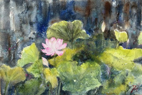 Lotus pond by Shelly Du