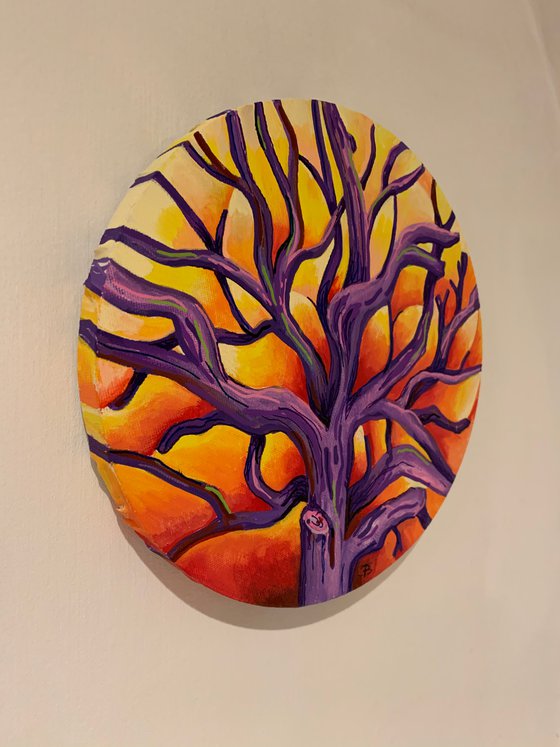 The Sunset Tree