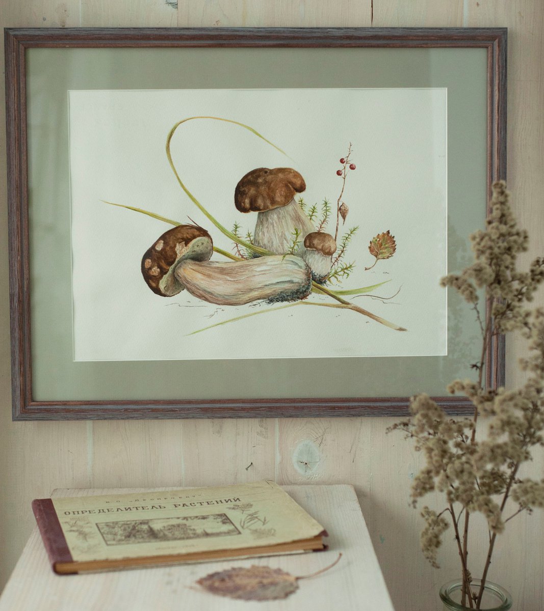 Botanical illustration, Boletus by Maria Chernobrovkina