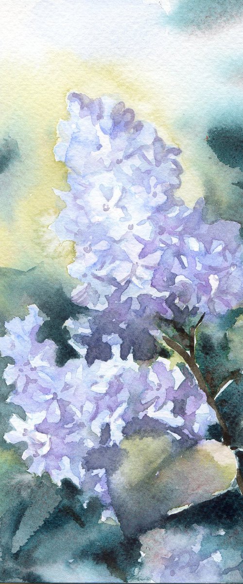 Small painting of lilac flowers in watercolor by Yulia Evsyukova