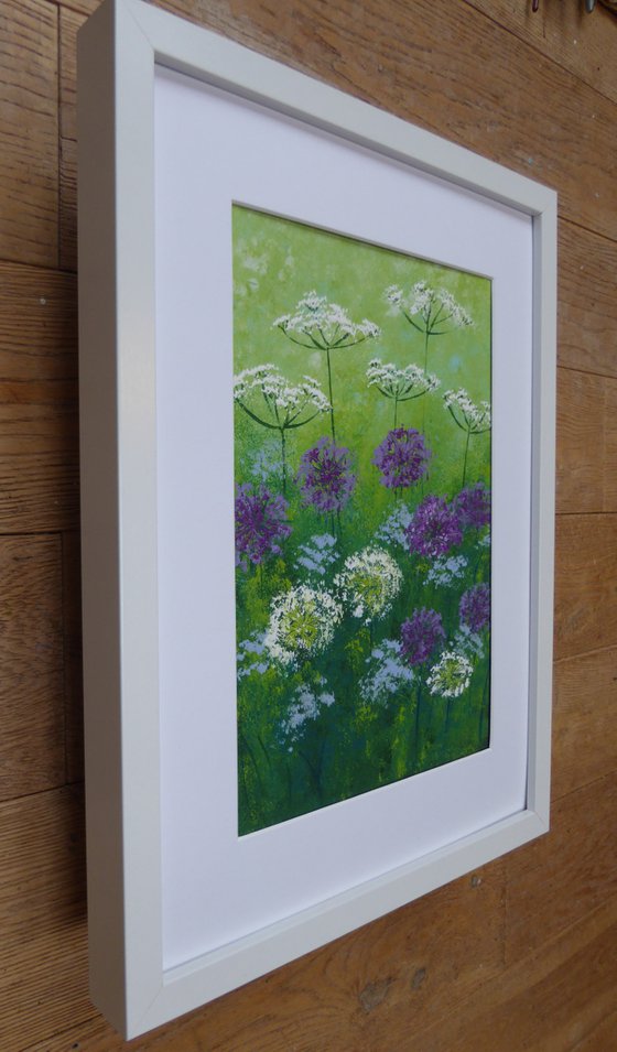 Alliums and Cow Parsley