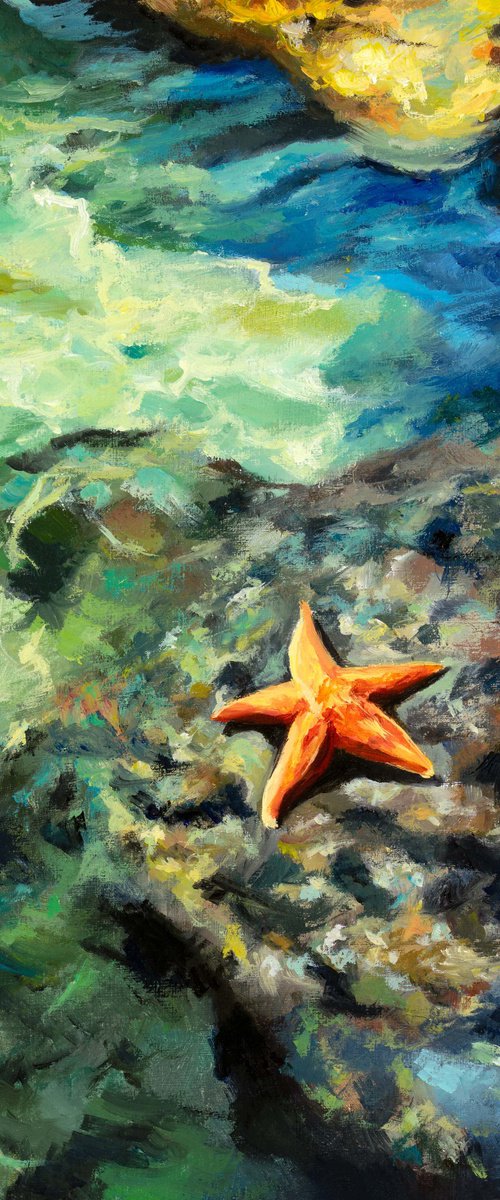 Starfish on rocky shore at summer by Lucia Verdejo