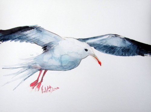 Seagull In Flight by Violeta Damjanovic-Behrendt