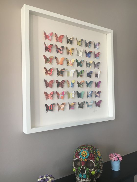 Rainbow Wings  (Butterfly Artwork)