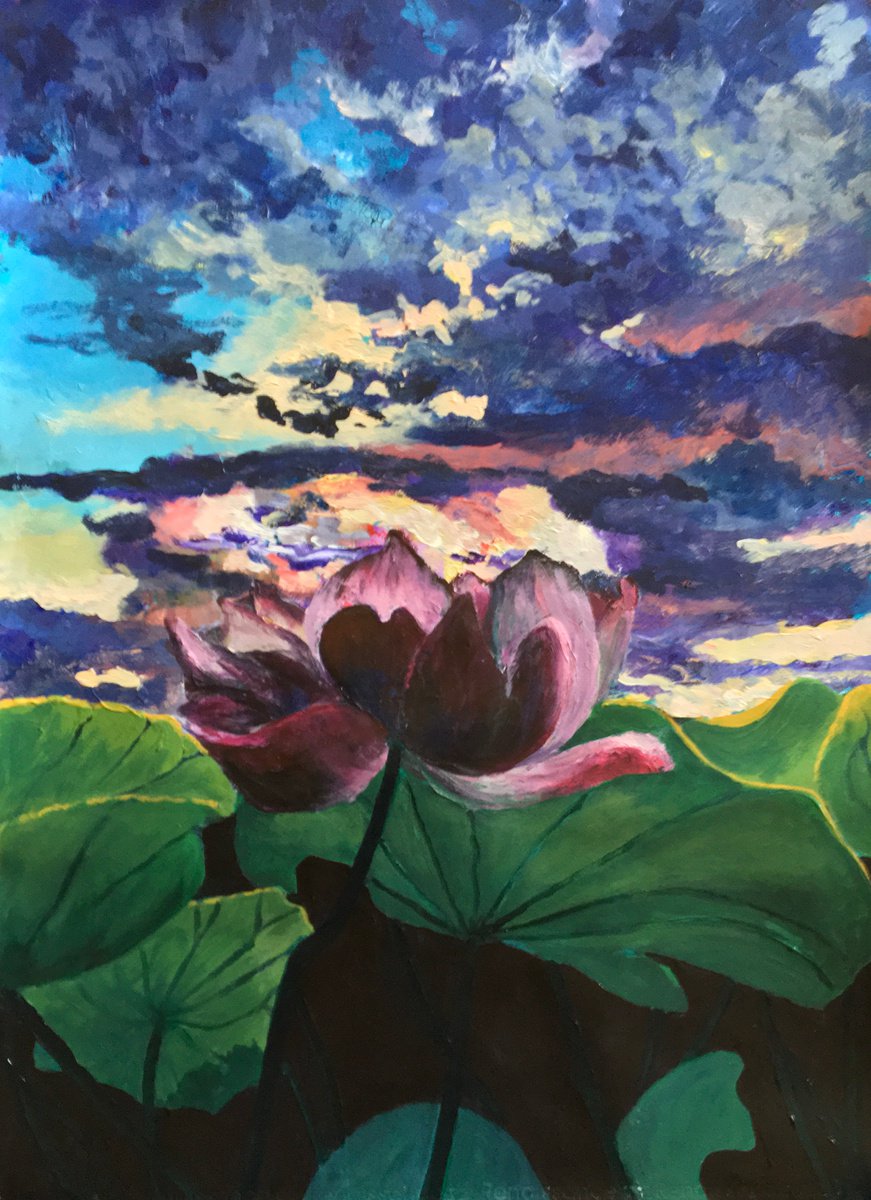 Lotus at sunset by John Cottee