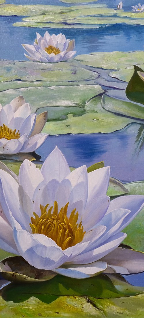 Water lilies by Eduard Zhaldak
