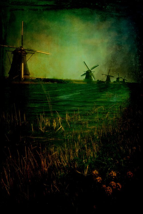 kinderdijk windmills by Martin  Fry