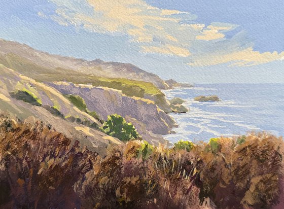 Coastal Veils Of Light