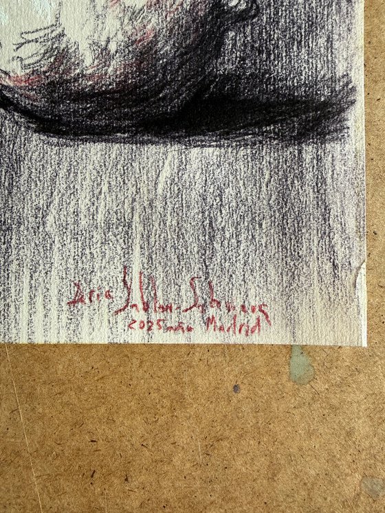 Two Lemons, Quiet Chiaroscuro